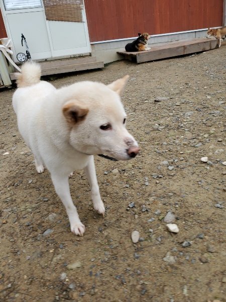 f:id:roukenhome-ann:20191021134452j:plain