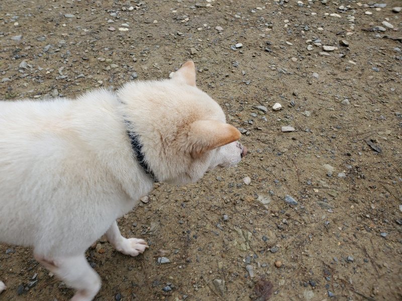 f:id:roukenhome-ann:20191021134518j:plain