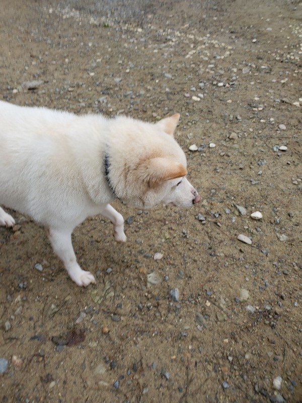 f:id:roukenhome-ann:20191021134524j:plain