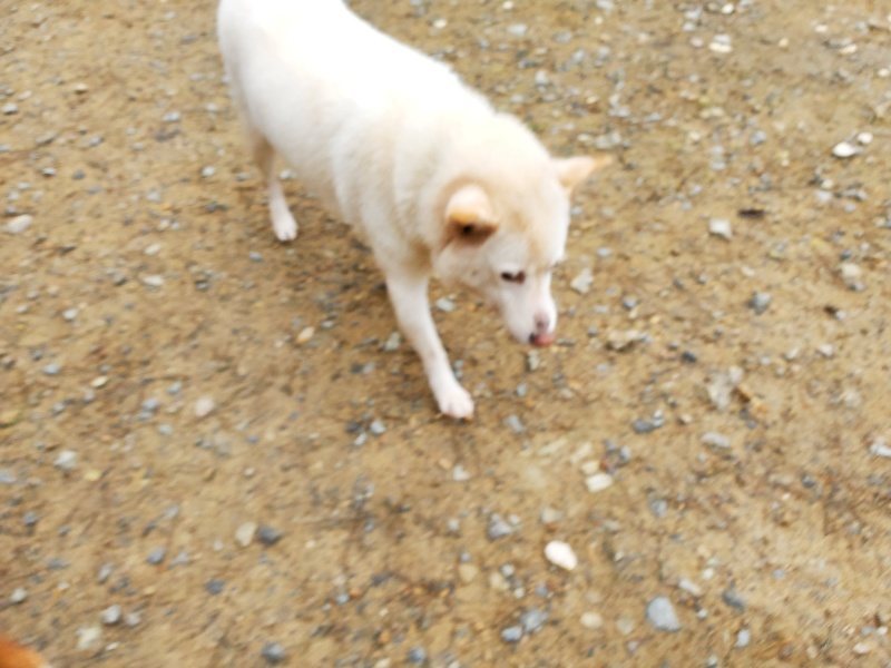 f:id:roukenhome-ann:20191021134537j:plain