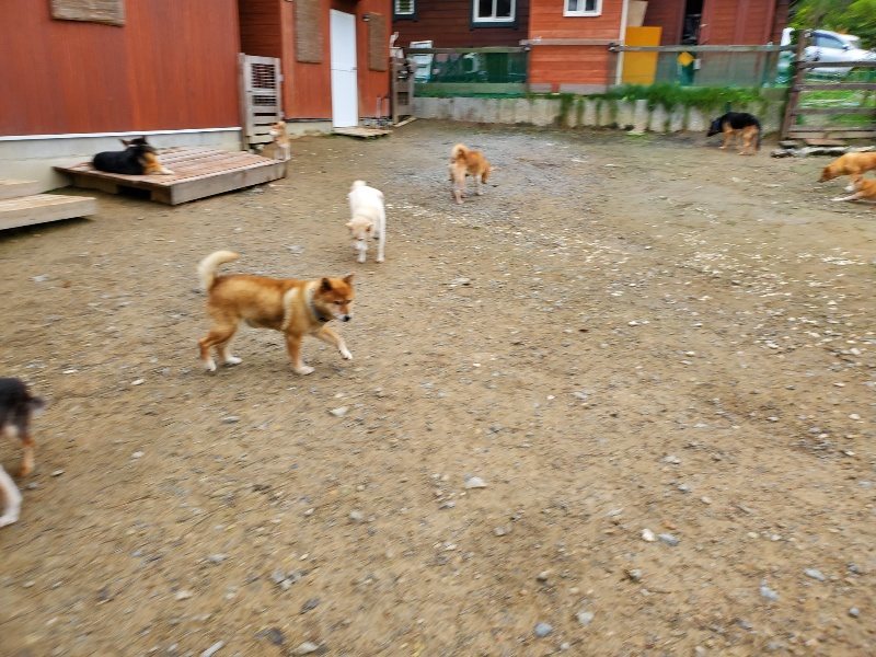 f:id:roukenhome-ann:20191021134605j:plain