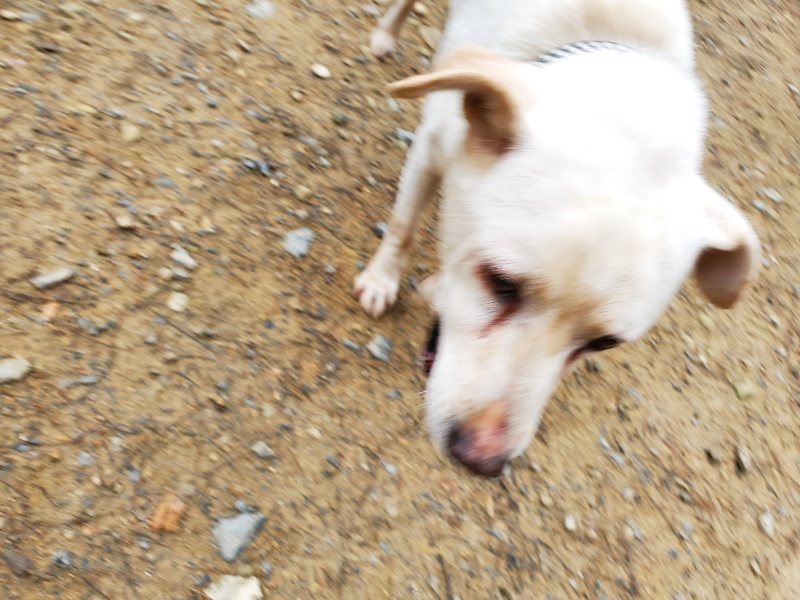 f:id:roukenhome-ann:20191021134613j:plain