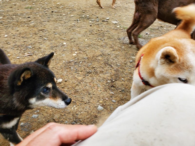 f:id:roukenhome-ann:20191021134742j:plain