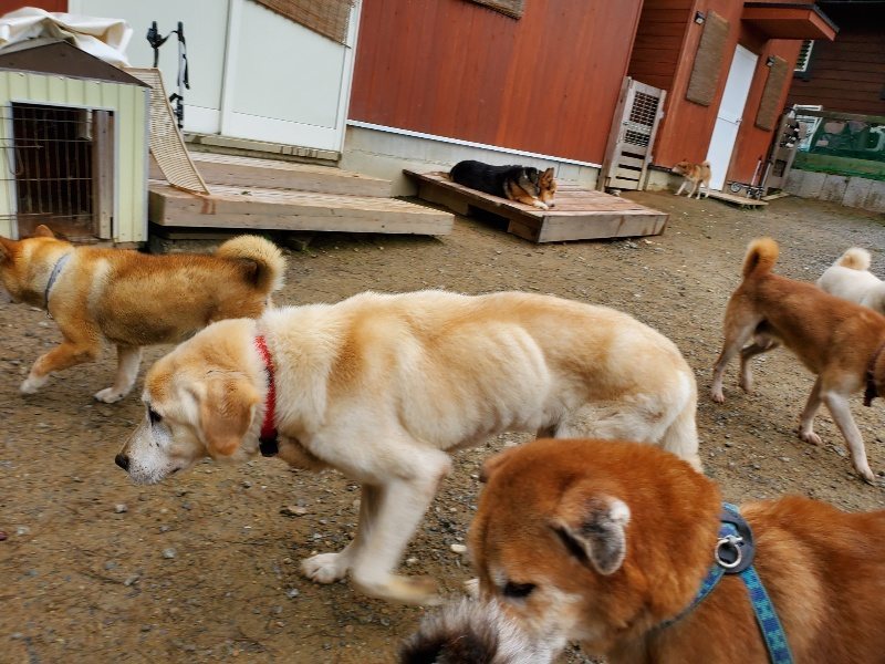 f:id:roukenhome-ann:20191021134749j:plain