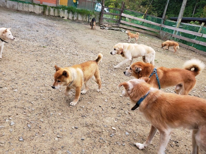 f:id:roukenhome-ann:20191021134853j:plain