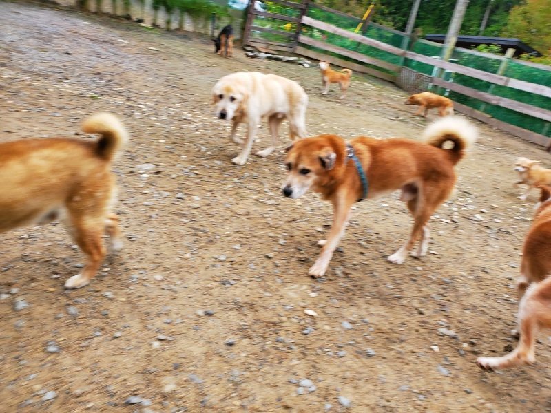 f:id:roukenhome-ann:20191021134901j:plain