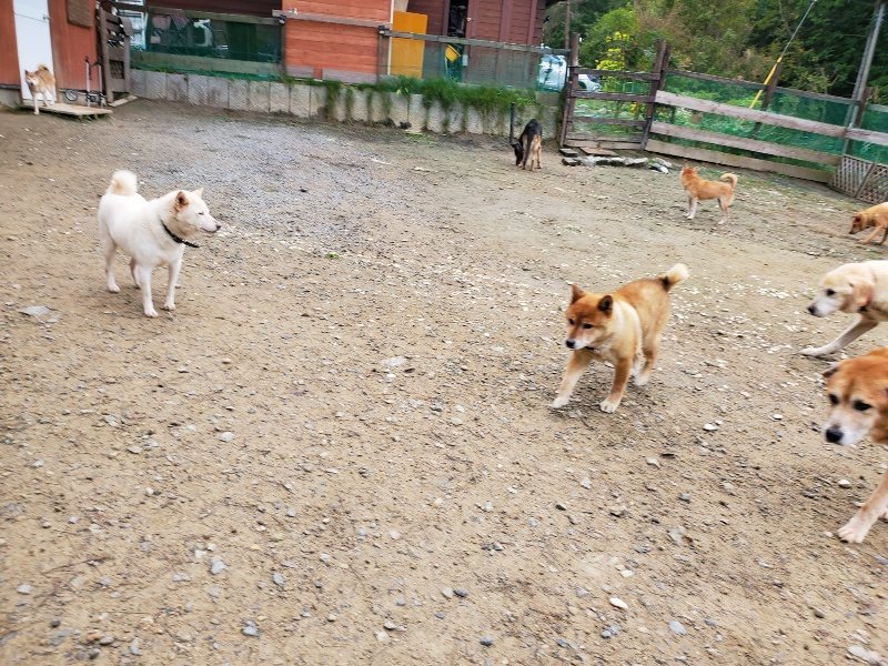f:id:roukenhome-ann:20191021134918j:plain