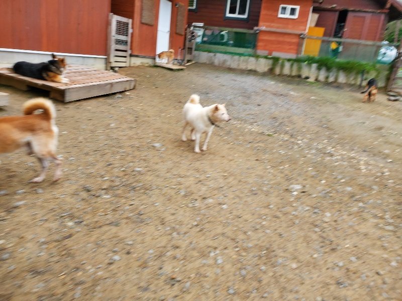 f:id:roukenhome-ann:20191021134924j:plain