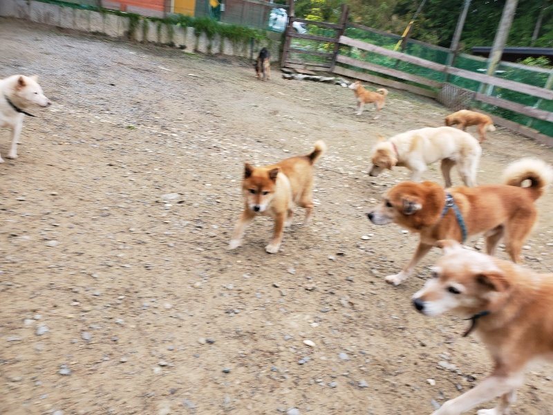 f:id:roukenhome-ann:20191021134929j:plain