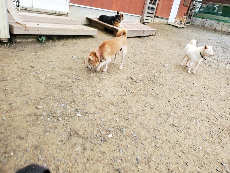 f:id:roukenhome-ann:20191021134938j:plain