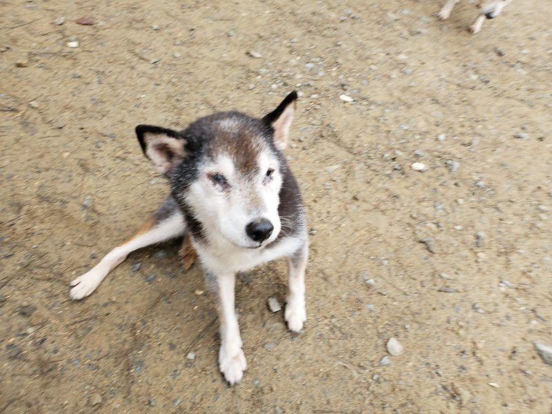 f:id:roukenhome-ann:20191021134947j:plain