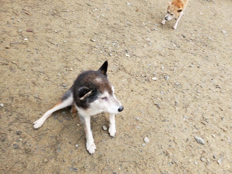 f:id:roukenhome-ann:20191021135001j:plain