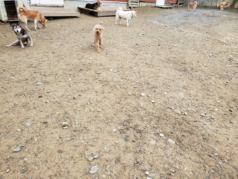f:id:roukenhome-ann:20191021135012j:plain