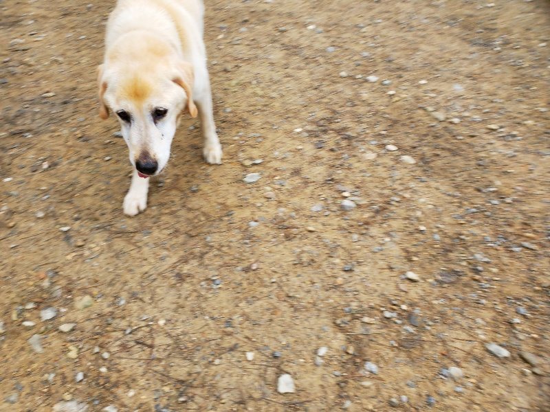 f:id:roukenhome-ann:20191021135016j:plain