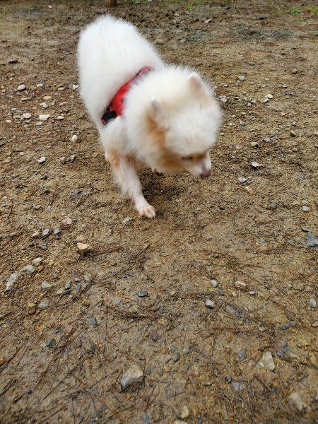 f:id:roukenhome-ann:20191021135041j:plain