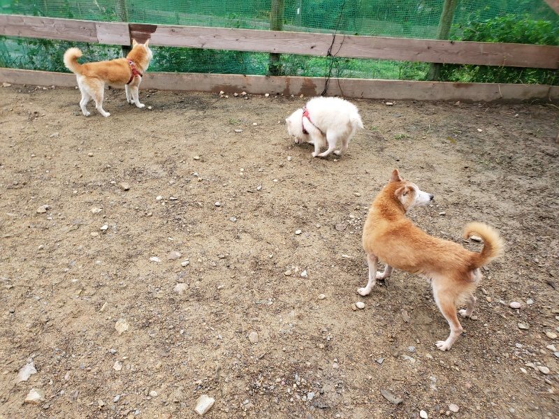 f:id:roukenhome-ann:20191021135238j:plain