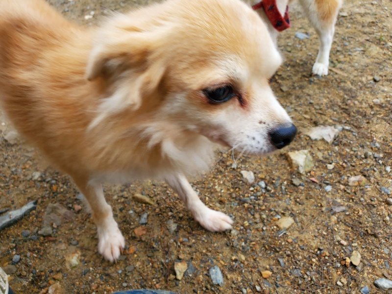 f:id:roukenhome-ann:20191021135318j:plain