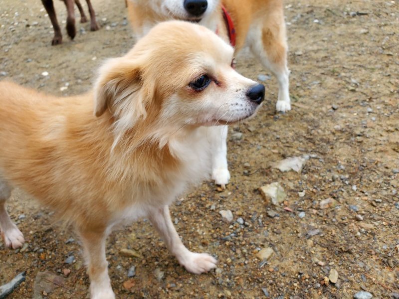 f:id:roukenhome-ann:20191021135326j:plain