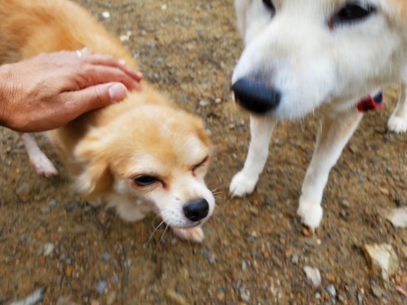 f:id:roukenhome-ann:20191021135333j:plain