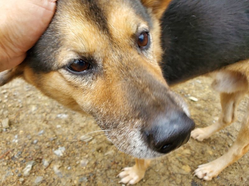 f:id:roukenhome-ann:20191021135354j:plain