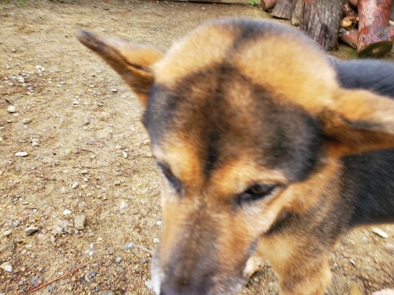 f:id:roukenhome-ann:20191021135419j:plain