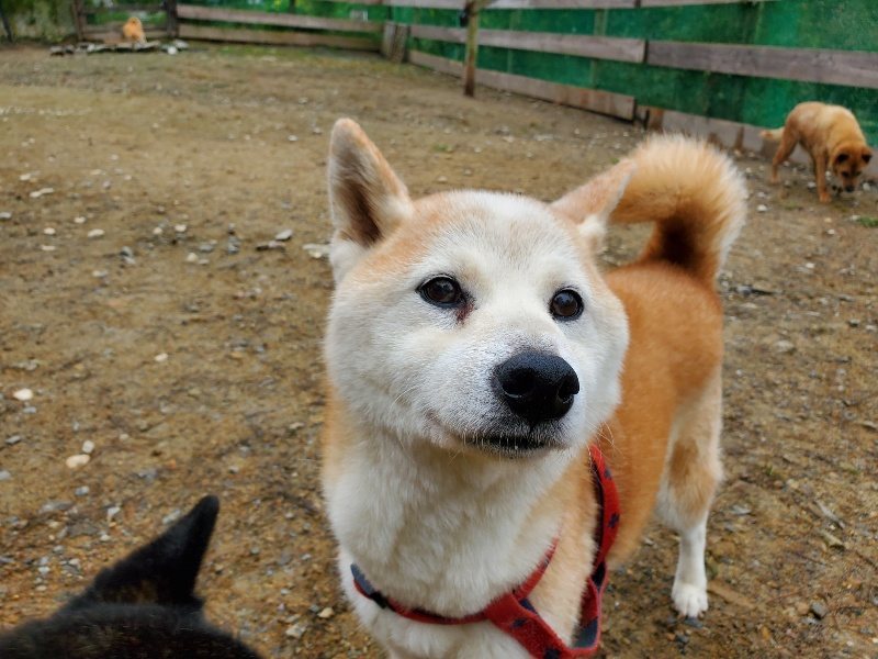 f:id:roukenhome-ann:20191021135520j:plain
