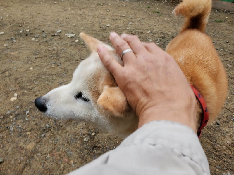f:id:roukenhome-ann:20191021135534j:plain
