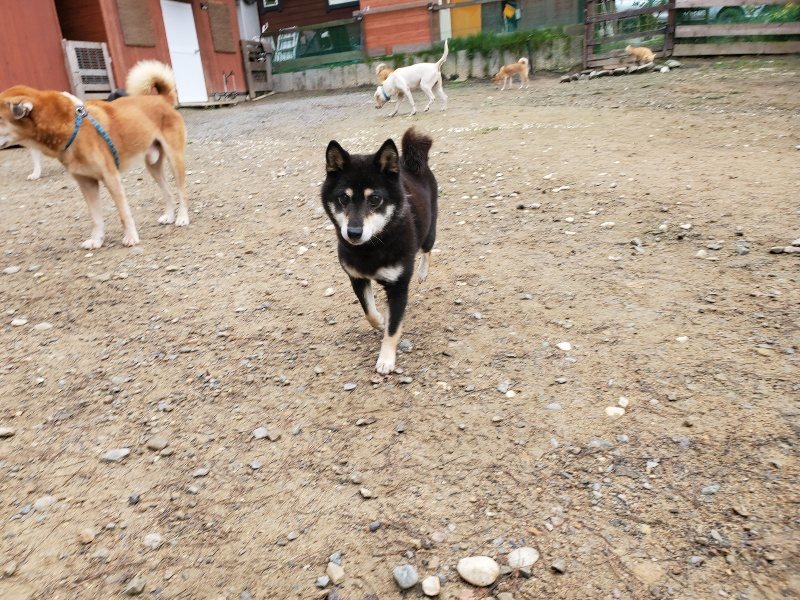 f:id:roukenhome-ann:20191021135540j:plain