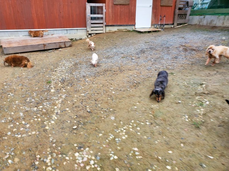 f:id:roukenhome-ann:20191021184707j:plain f:id:roukenhome-ann:20191021184707j:plain