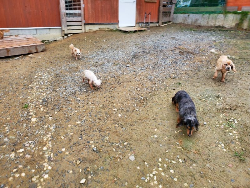 f:id:roukenhome-ann:20191021184811j:plain f:id:roukenhome-ann:20191021184811j:plain