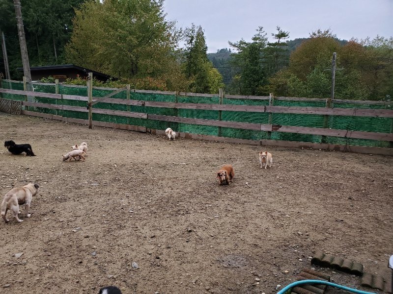 f:id:roukenhome-ann:20191021184909j:plain f:id:roukenhome-ann:20191021184909j:plain