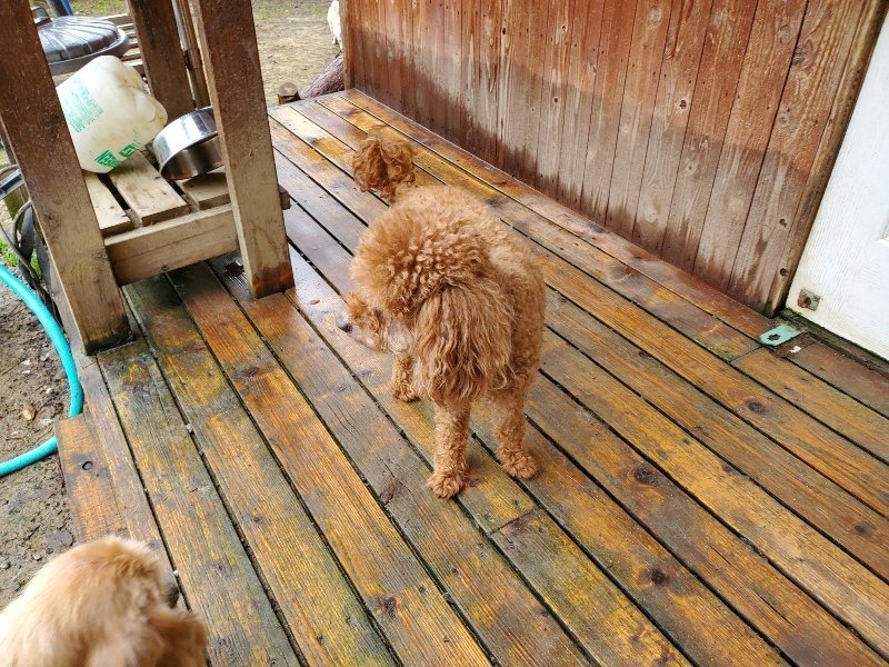 f:id:roukenhome-ann:20191021185123j:plain f:id:roukenhome-ann:20191021185123j:plain