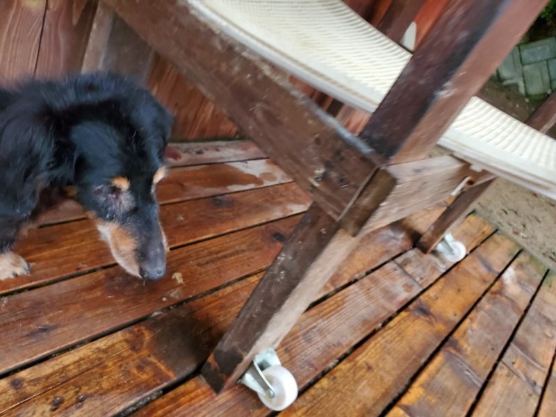 f:id:roukenhome-ann:20191021185407j:plain f:id:roukenhome-ann:20191021185407j:plain