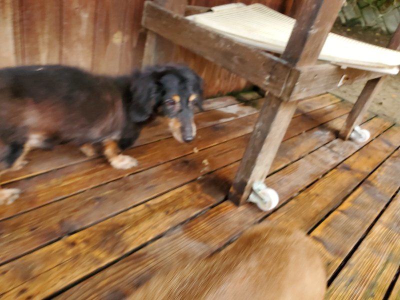 f:id:roukenhome-ann:20191021185548j:plain f:id:roukenhome-ann:20191021185548j:plain