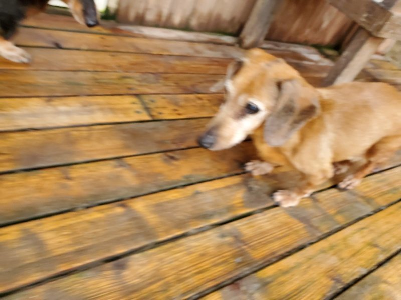 f:id:roukenhome-ann:20191021190027j:plain f:id:roukenhome-ann:20191021190027j:plain