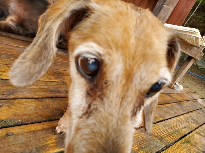 f:id:roukenhome-ann:20191021190216j:plain f:id:roukenhome-ann:20191021190216j:plain