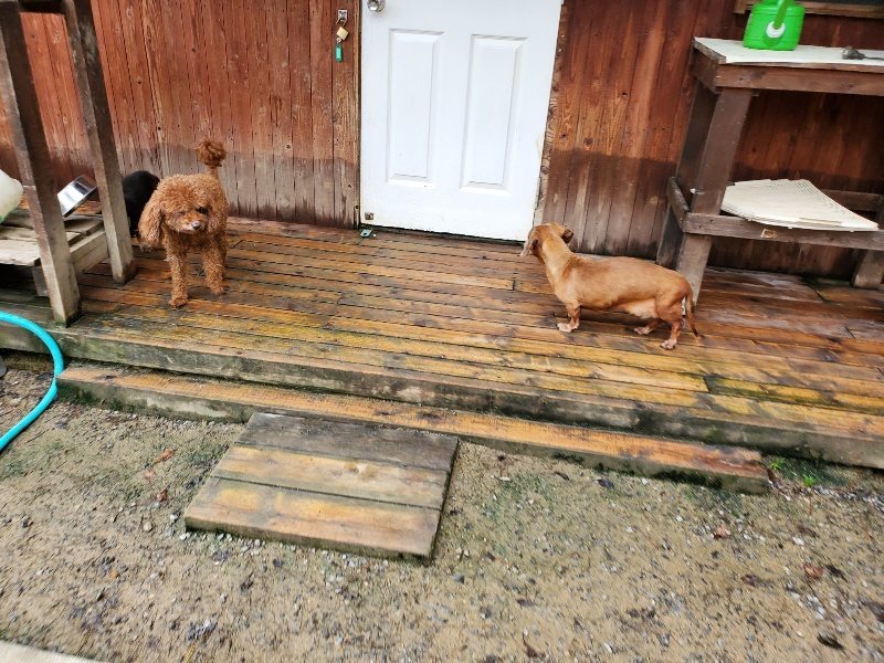 f:id:roukenhome-ann:20191021190629j:plain f:id:roukenhome-ann:20191021190629j:plain