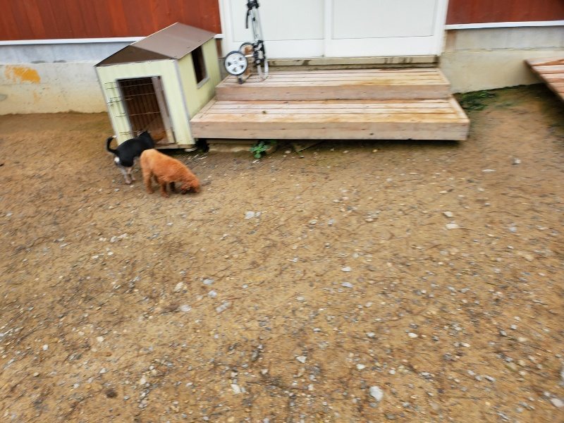 f:id:roukenhome-ann:20191021190707j:plain f:id:roukenhome-ann:20191021190707j:plain