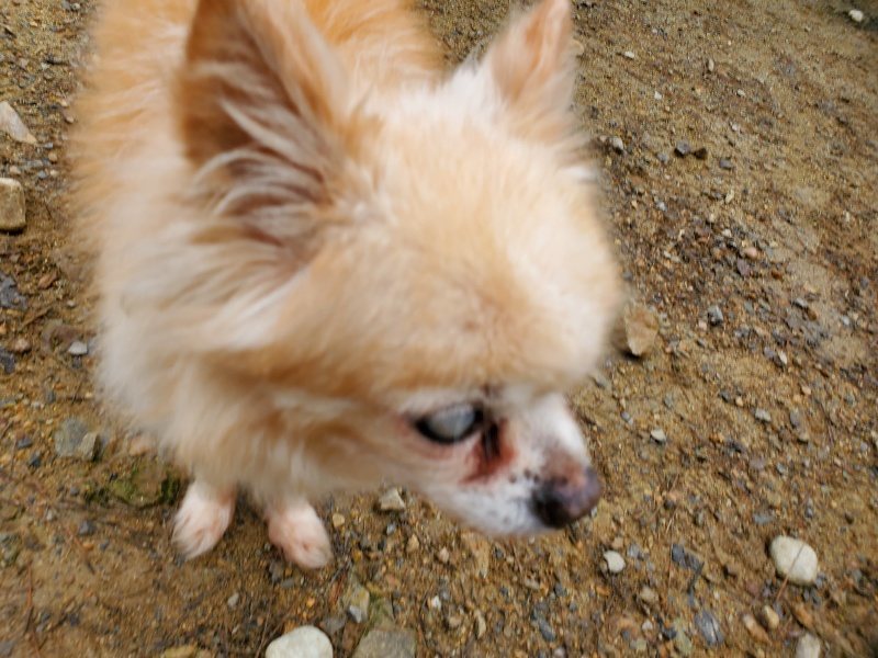 f:id:roukenhome-ann:20191021191310j:plain f:id:roukenhome-ann:20191021191310j:plain