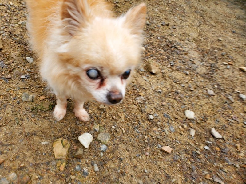 f:id:roukenhome-ann:20191021191544j:plain f:id:roukenhome-ann:20191021191544j:plain