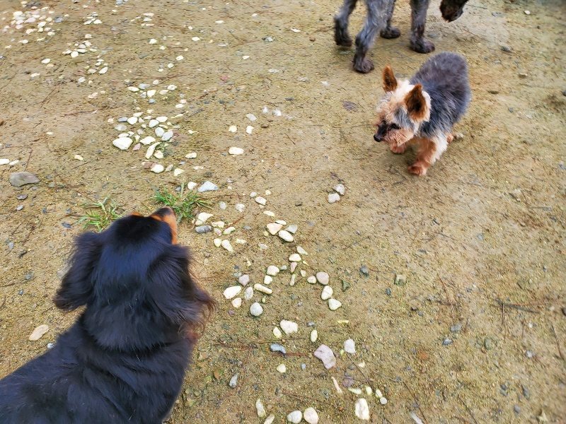 f:id:roukenhome-ann:20191021191728j:plain f:id:roukenhome-ann:20191021191728j:plain