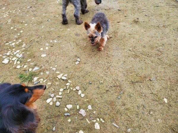 f:id:roukenhome-ann:20191021192102j:plain f:id:roukenhome-ann:20191021192102j:plain