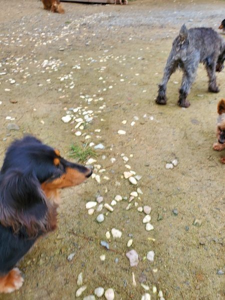 f:id:roukenhome-ann:20191021192223j:plain f:id:roukenhome-ann:20191021192223j:plain