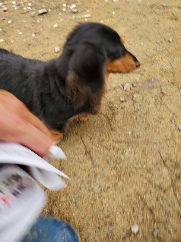 f:id:roukenhome-ann:20191021192442j:plain f:id:roukenhome-ann:20191021192442j:plain
