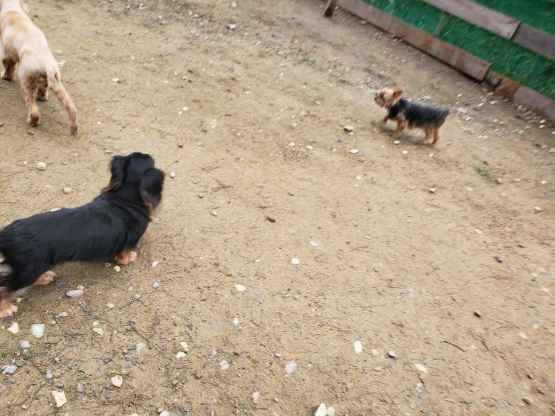 f:id:roukenhome-ann:20191021192609j:plain f:id:roukenhome-ann:20191021192609j:plain