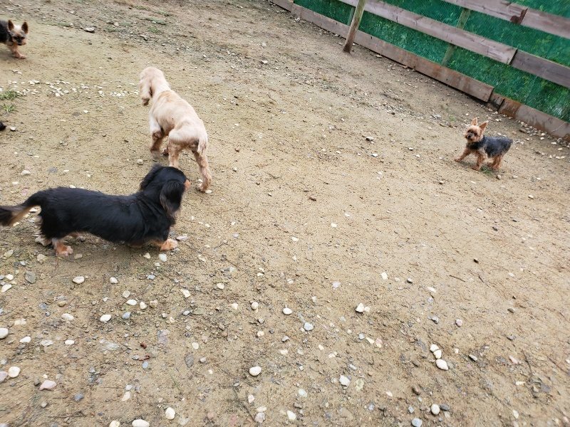 f:id:roukenhome-ann:20191021193103j:plain f:id:roukenhome-ann:20191021193103j:plain