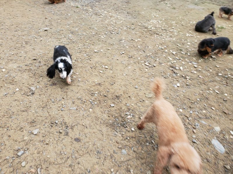 f:id:roukenhome-ann:20191021193130j:plain f:id:roukenhome-ann:20191021193130j:plain