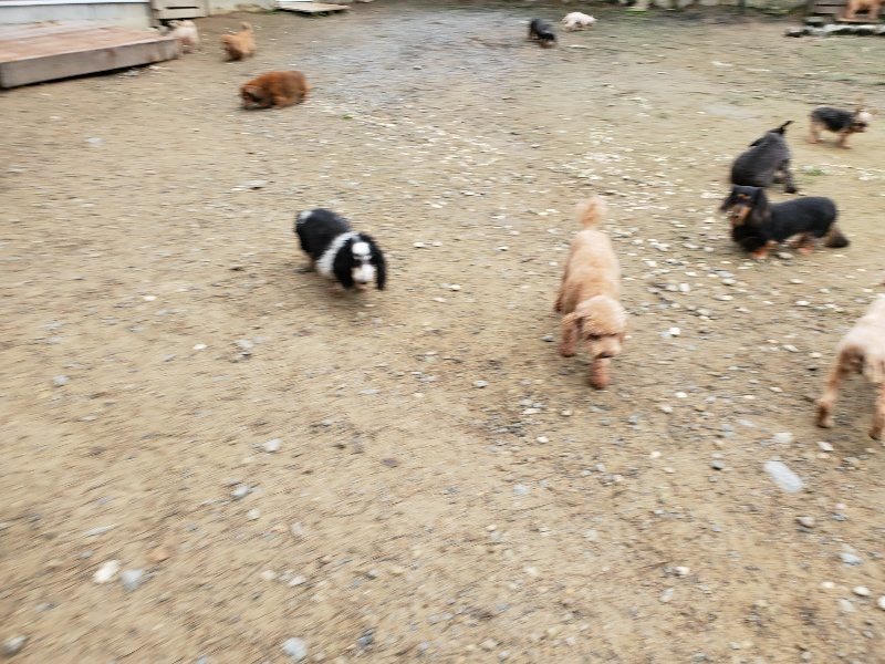 f:id:roukenhome-ann:20191021193236j:plain f:id:roukenhome-ann:20191021193236j:plain