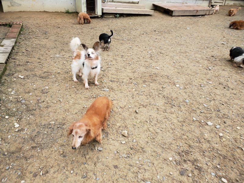 f:id:roukenhome-ann:20191021193252j:plain f:id:roukenhome-ann:20191021193252j:plain