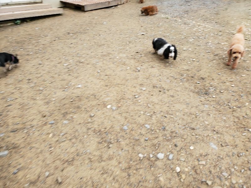 f:id:roukenhome-ann:20191021193312j:plain f:id:roukenhome-ann:20191021193312j:plain